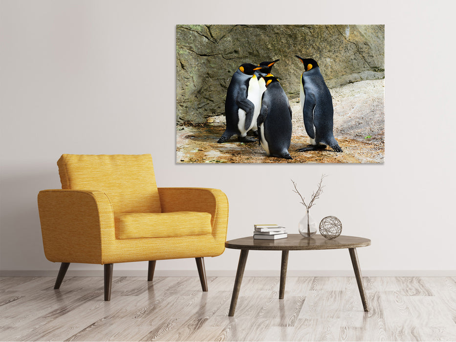 Canvas print King penguins