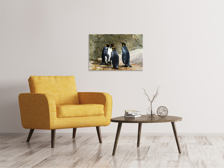 Canvas print King penguins