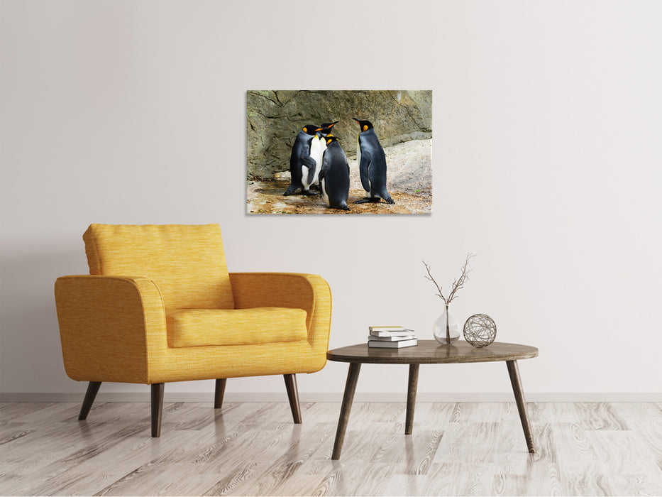 Canvas print King penguins