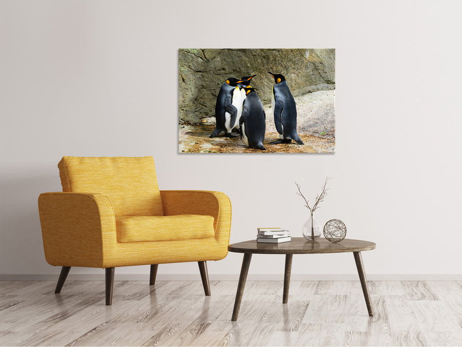 Canvas print King penguins