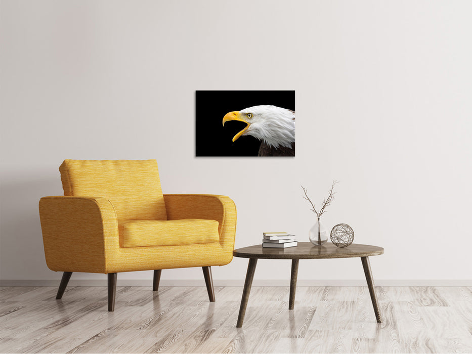 Leinwandbild Der Weißkopfseeadler