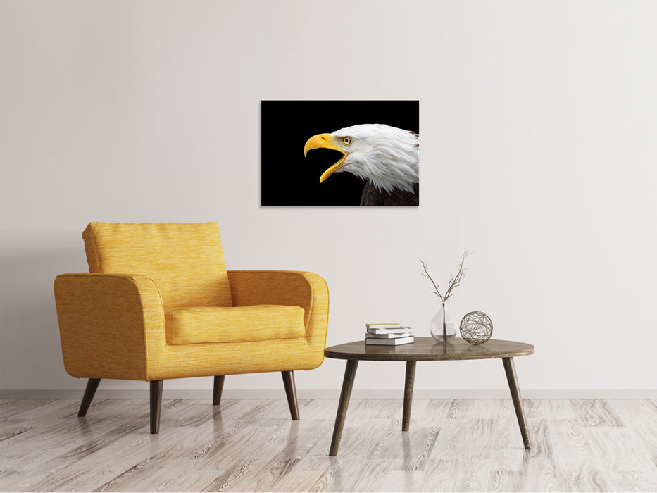 Leinwandbild Der Weißkopfseeadler