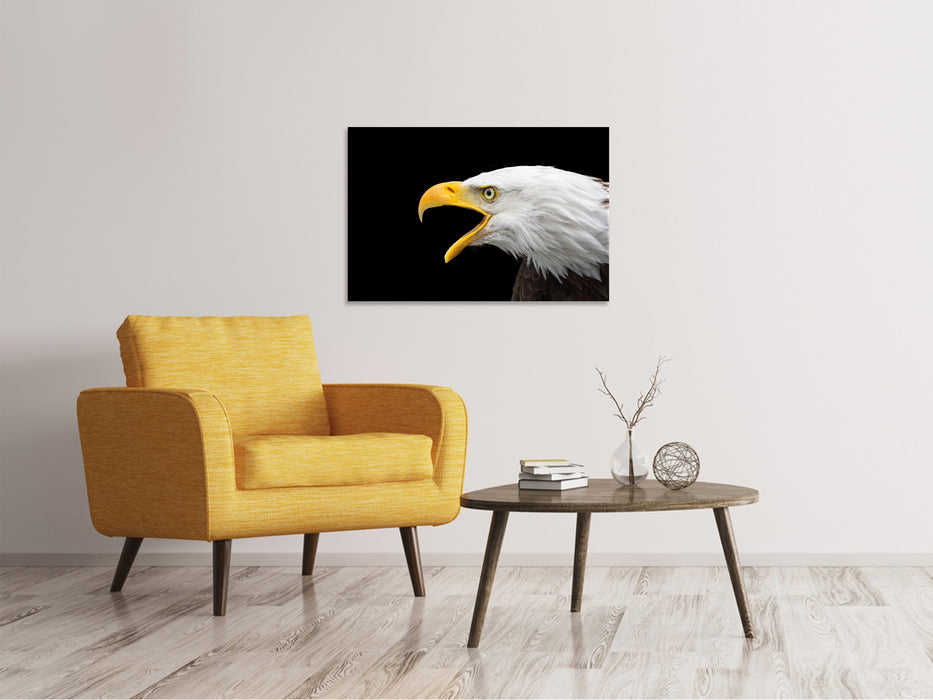 Leinwandbild Der Weißkopfseeadler