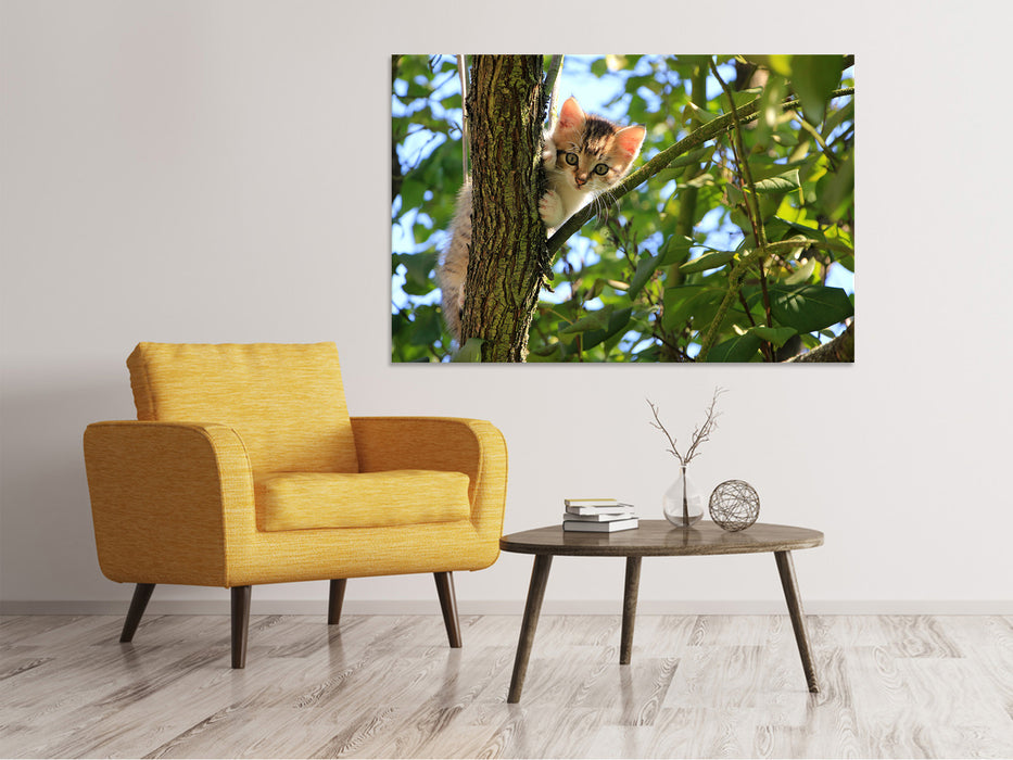 Canvas print cute cat child