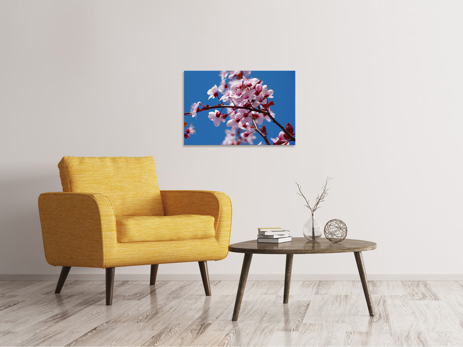 Canvas print The almond blossom