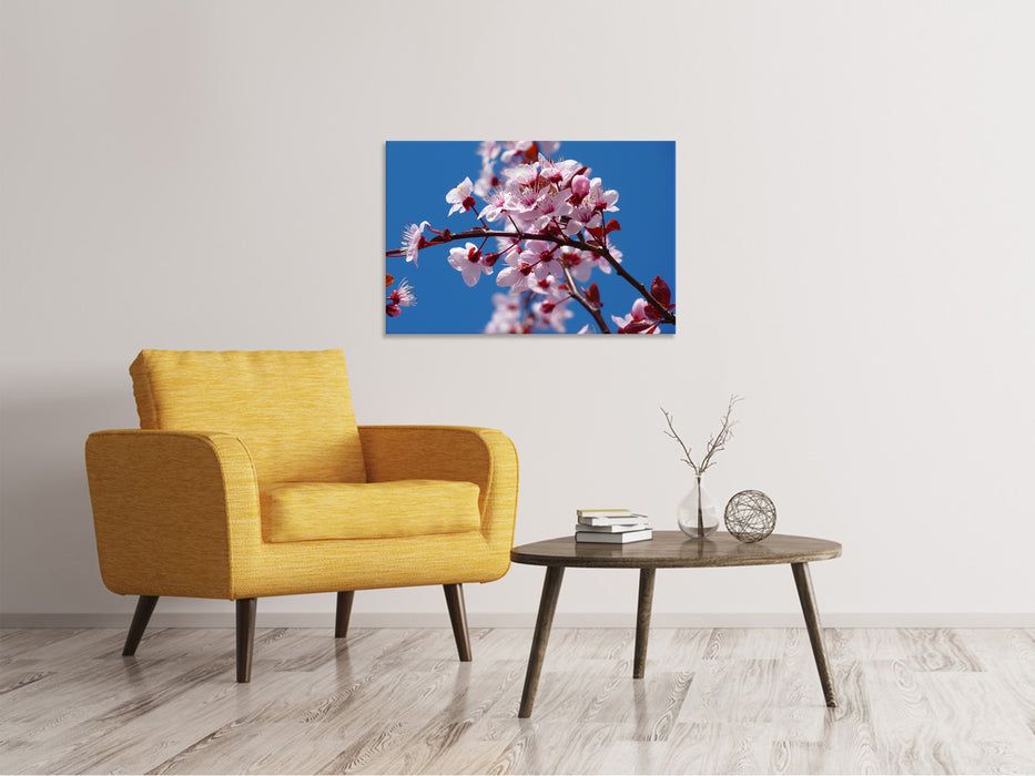 Canvas print The almond blossom