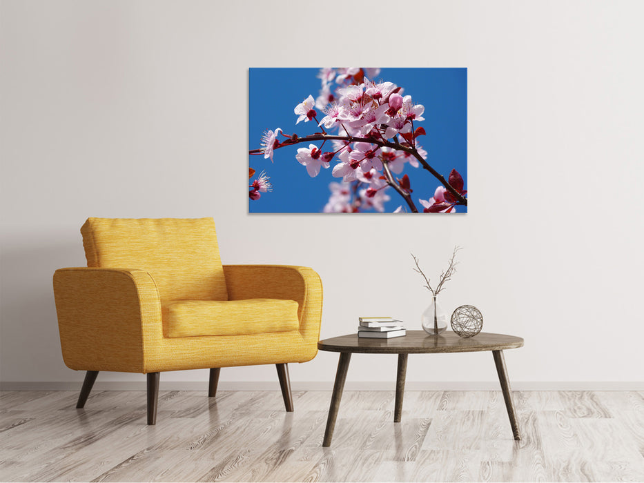 Canvas print The almond blossom