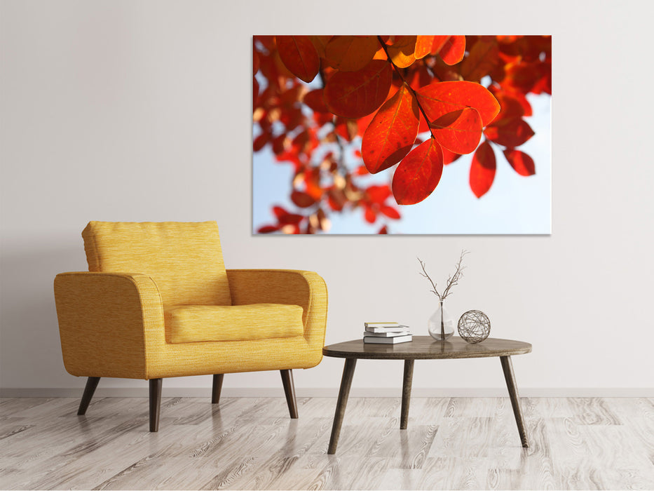 Canvas picture red leaves XL