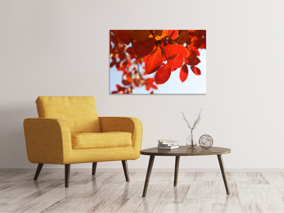 Canvas picture red leaves XL