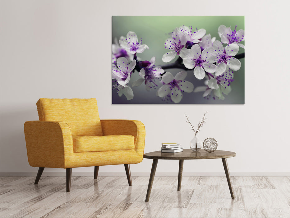 Canvas print flowering time