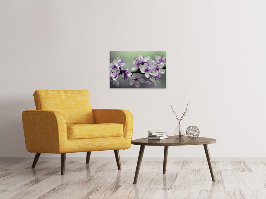 Canvas print flowering time