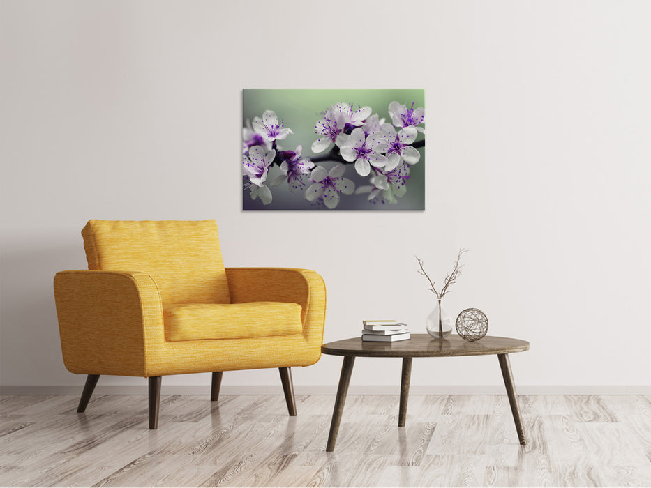 Canvas print flowering time