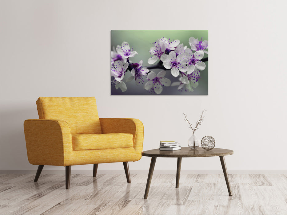 Canvas print flowering time