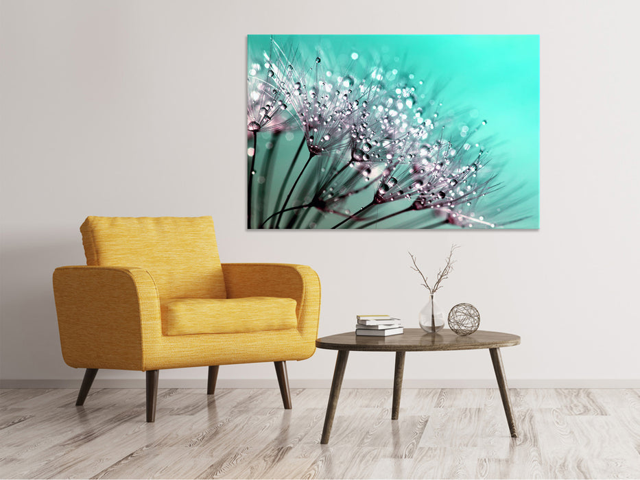 Canvas print Macro dandelion