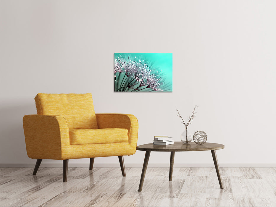 Canvas print Macro dandelion