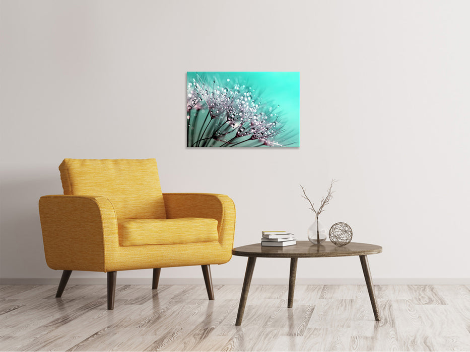 Canvas print Macro dandelion