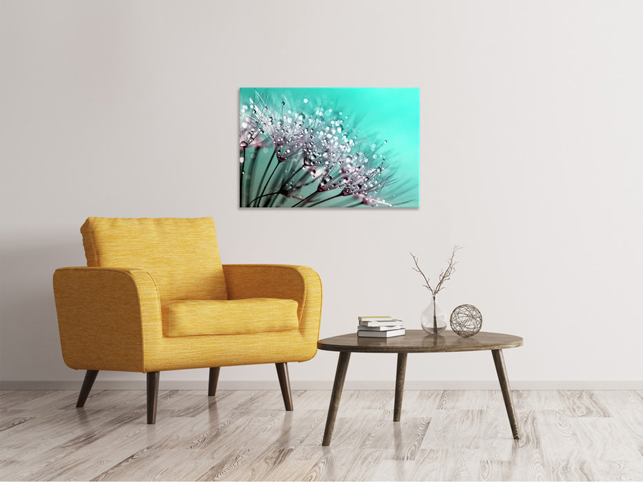 Canvas print Macro dandelion