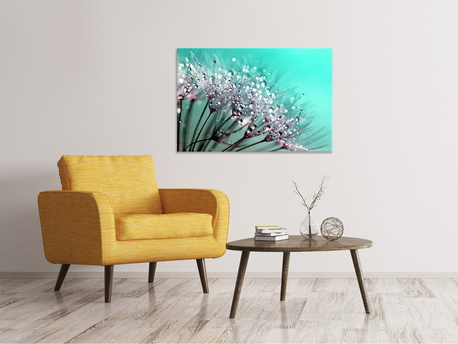 Canvas print Macro dandelion