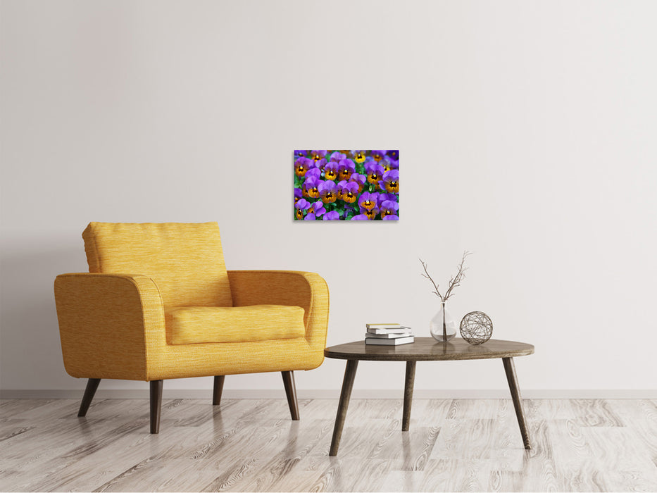 Canvas print The pansies