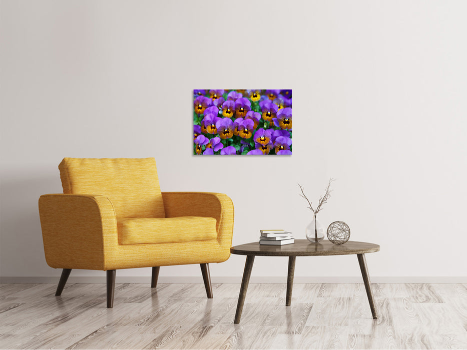 Canvas print The pansies