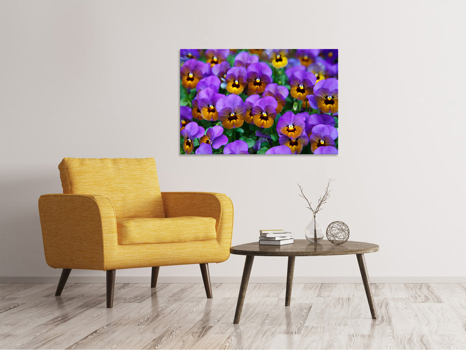 Canvas print The pansies