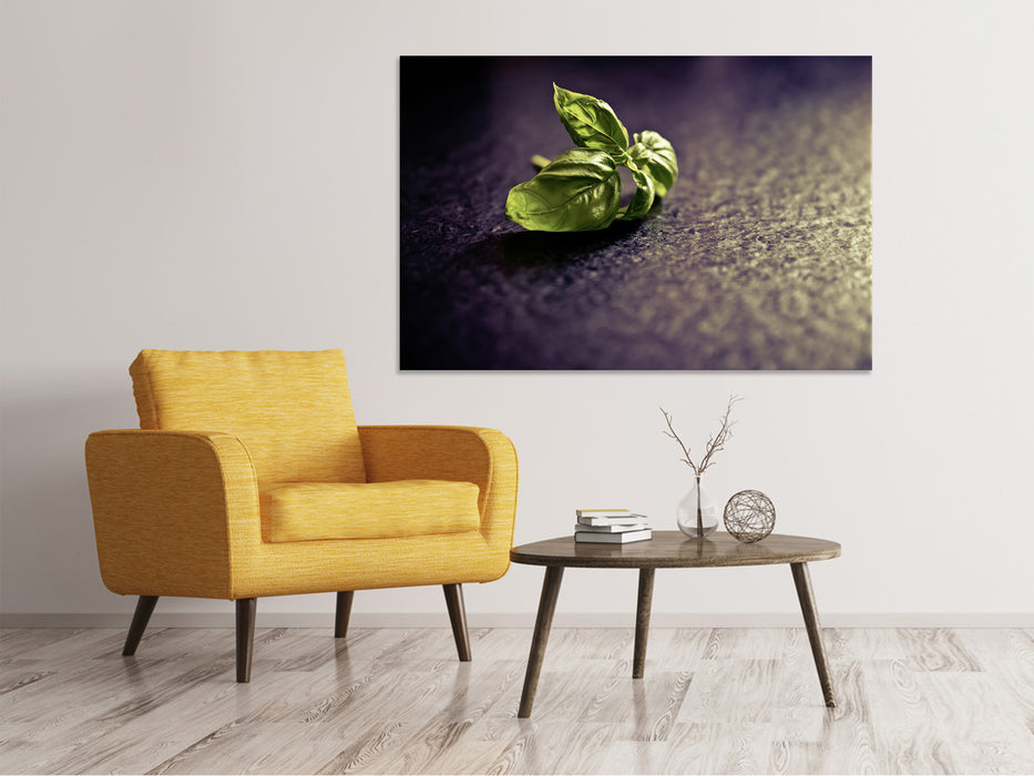 Canvas print Basil leaves