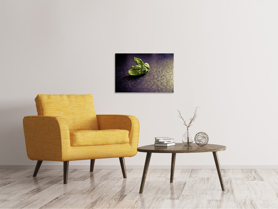 Canvas print Basil leaves