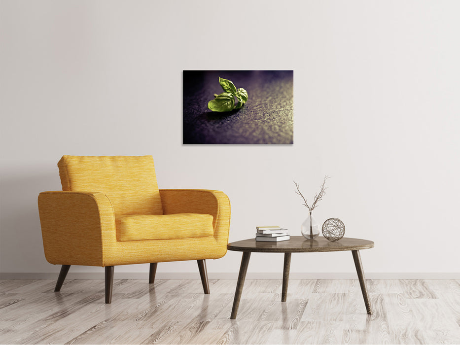 Canvas print Basil leaves