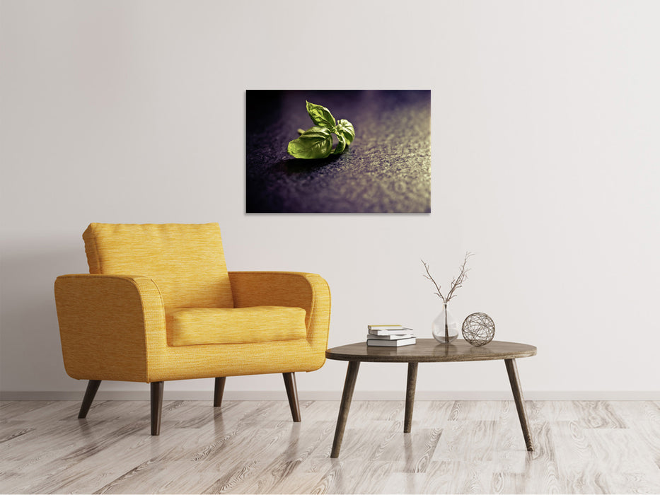 Canvas print Basil leaves