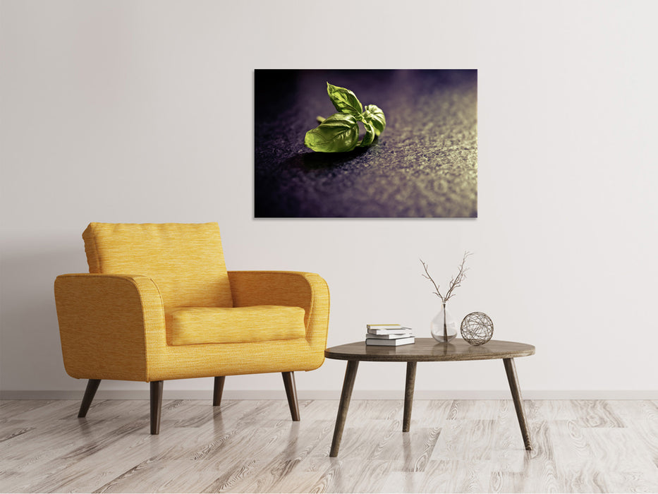 Canvas print Basil leaves