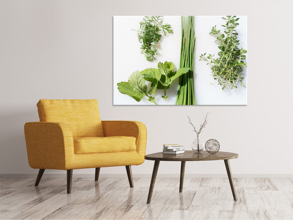 Canvas print Fresh herbs