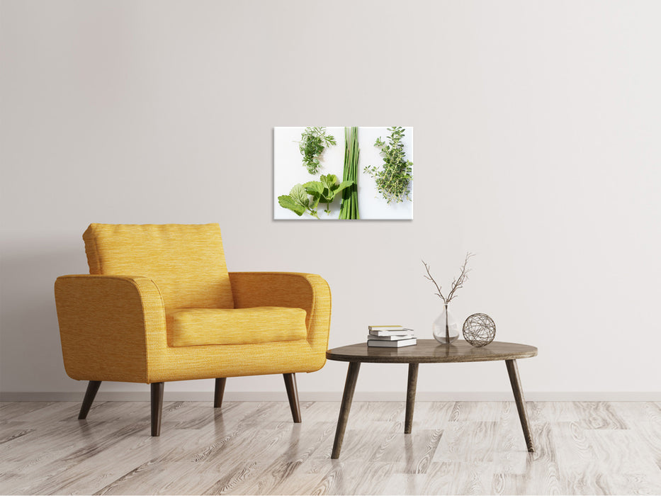 Canvas print Fresh herbs