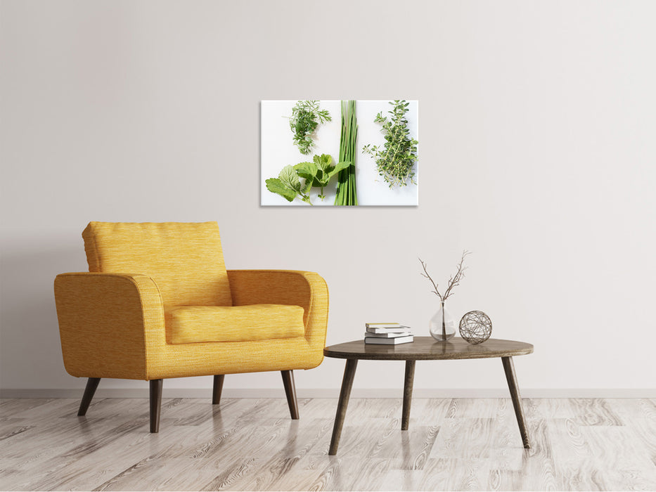 Canvas print Fresh herbs