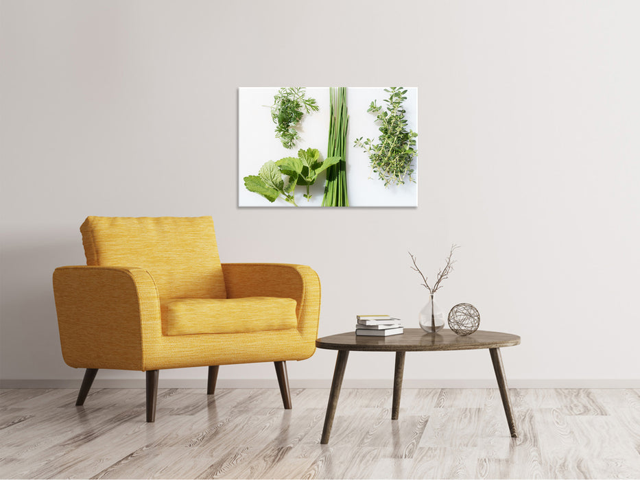 Canvas print Fresh herbs