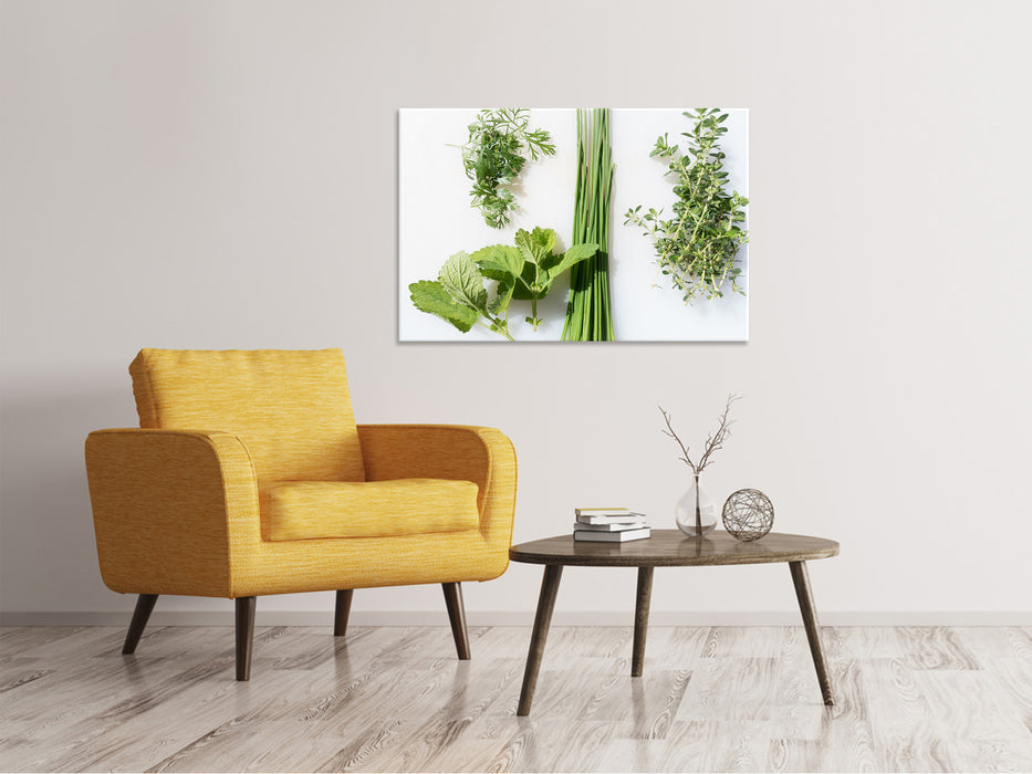 Canvas print Fresh herbs