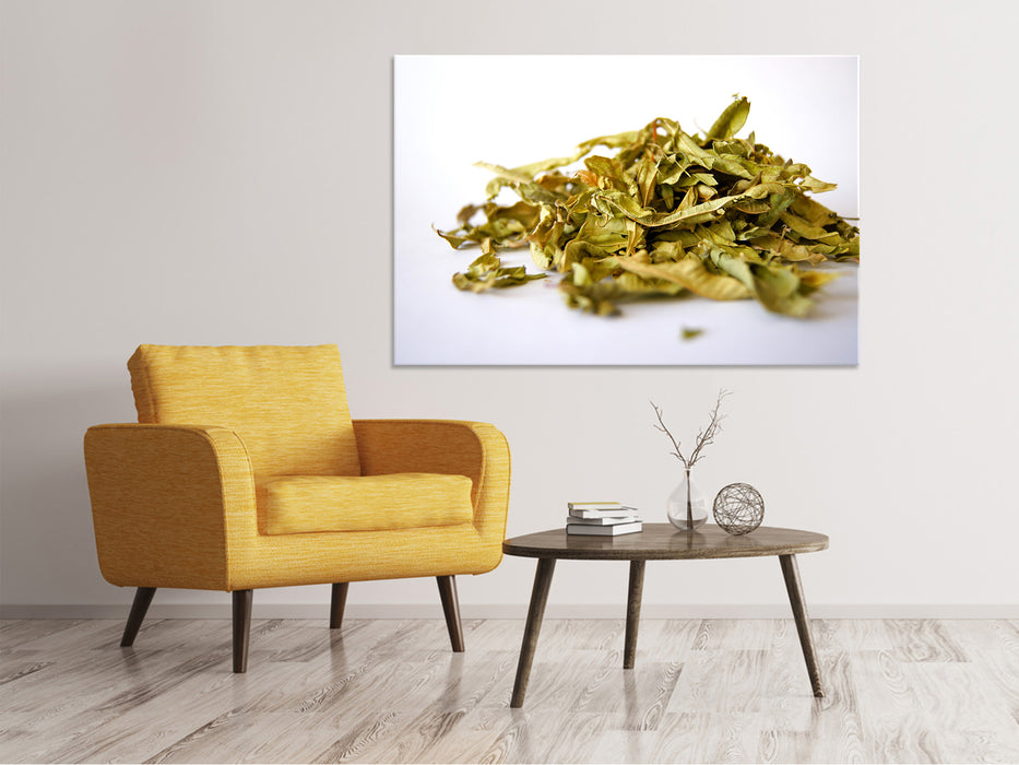 Canvas print Tea leaves