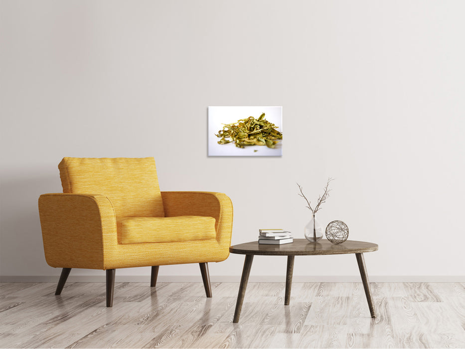 Canvas print Tea leaves