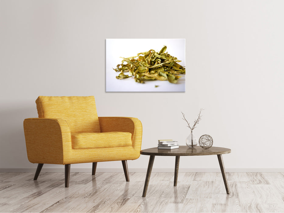 Canvas print Tea leaves