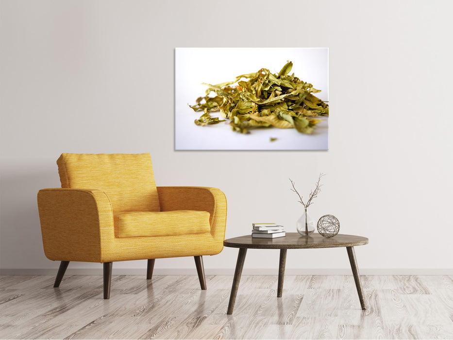 Canvas print Tea leaves