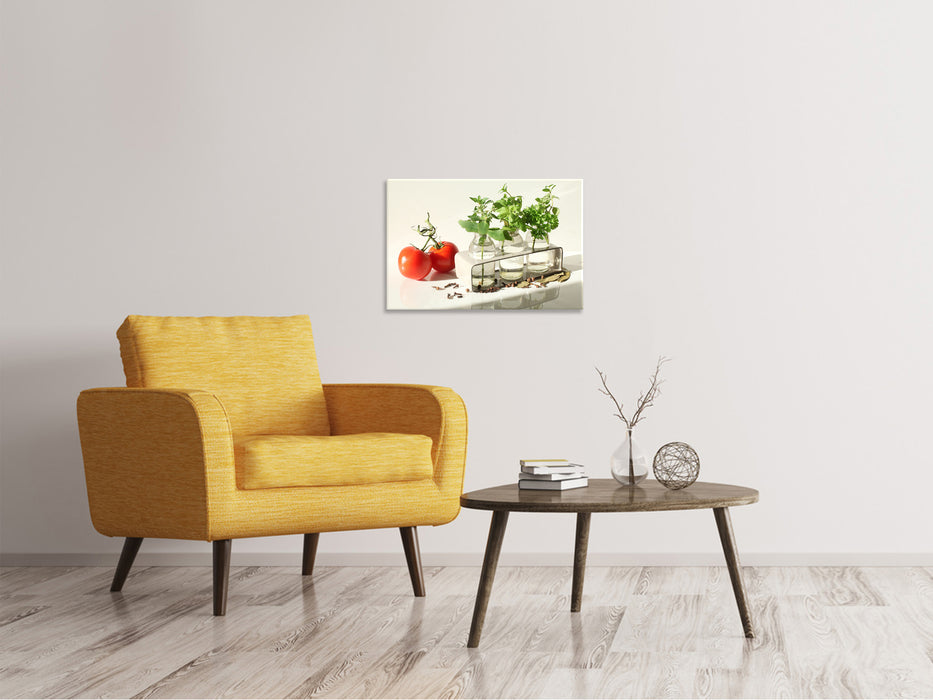 Canvas print Tomatoes and herbs