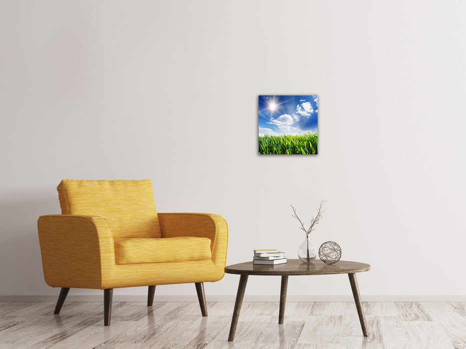 Canvas print Spring grass