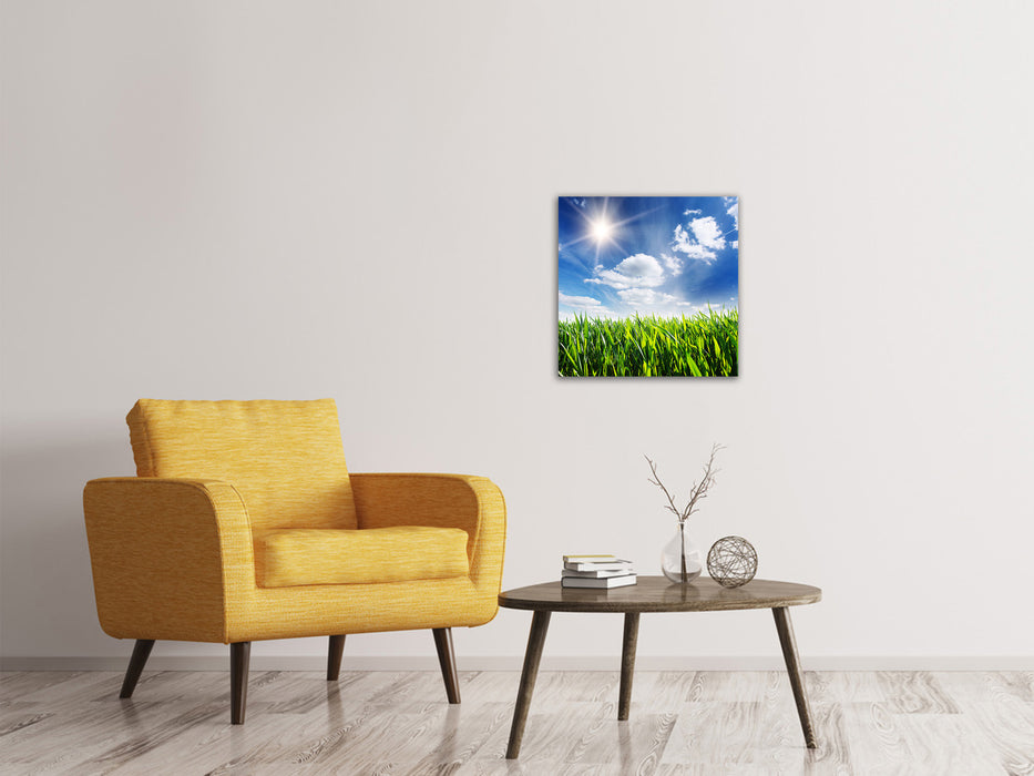 Canvas print Spring grass