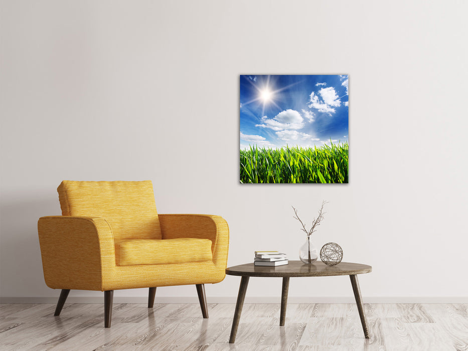 Canvas print Spring grass