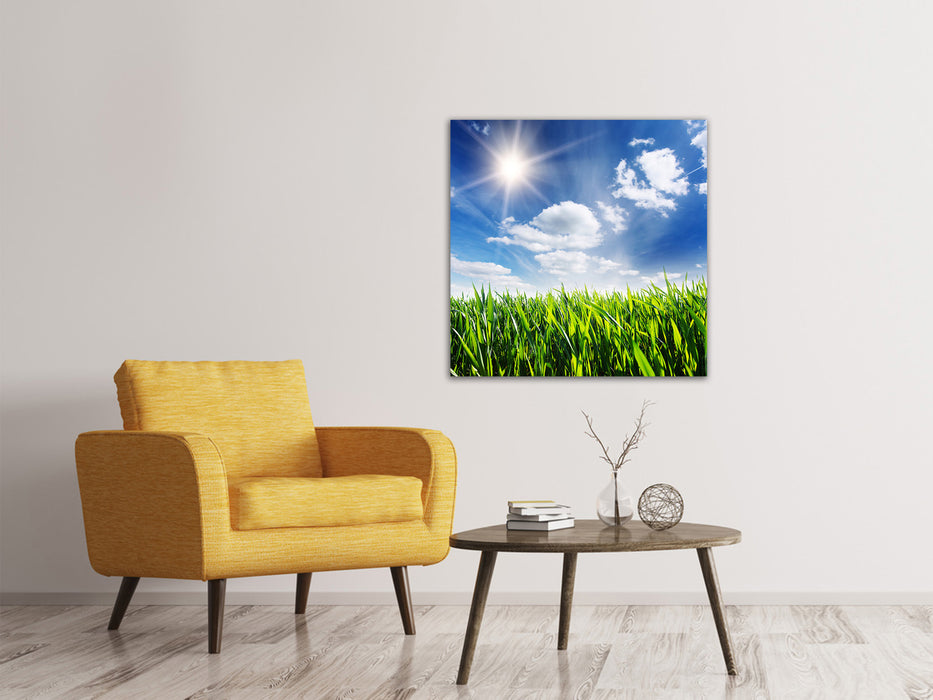 Canvas print Spring grass