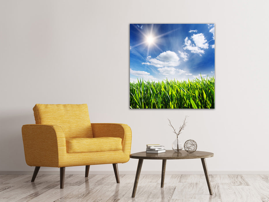 Canvas print Spring grass