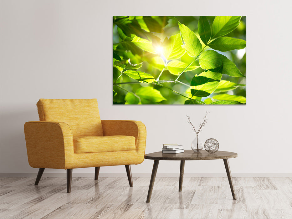 Canvas print It's so green