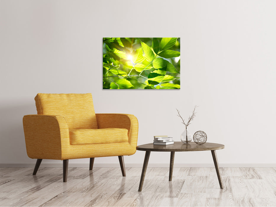 Canvas print It's so green