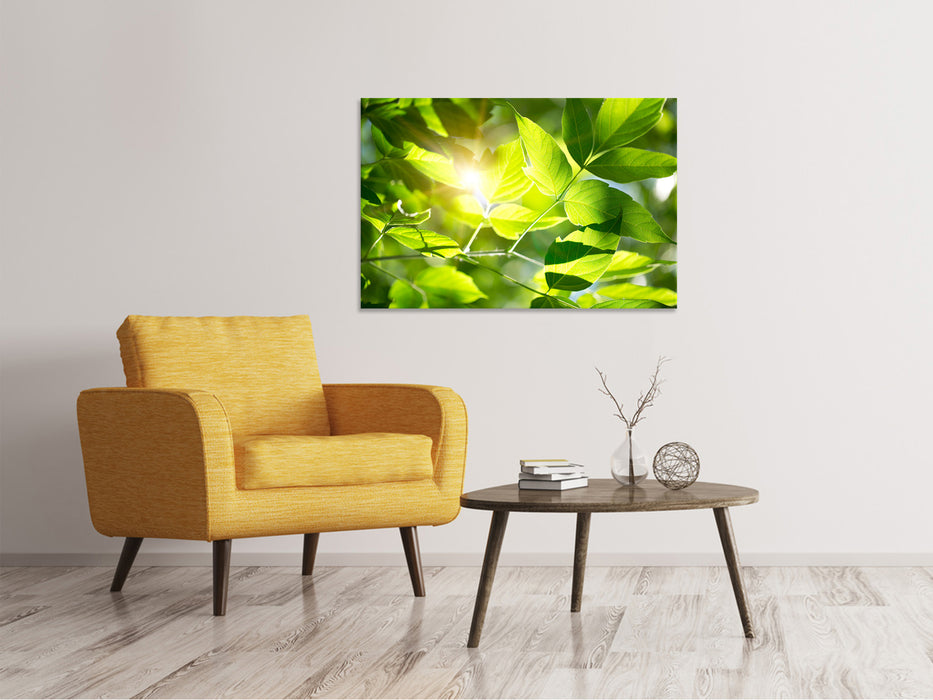 Canvas print It's so green