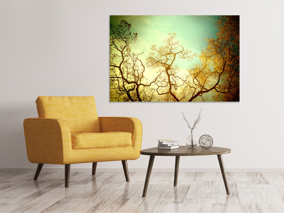 Canvas print Trees in autumn