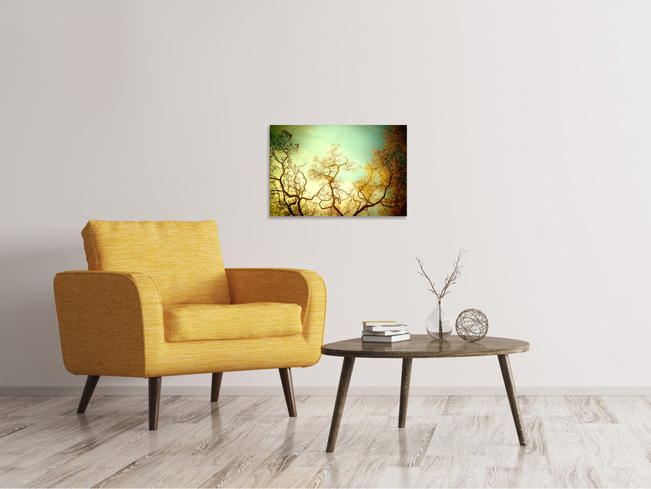 Canvas print Trees in autumn